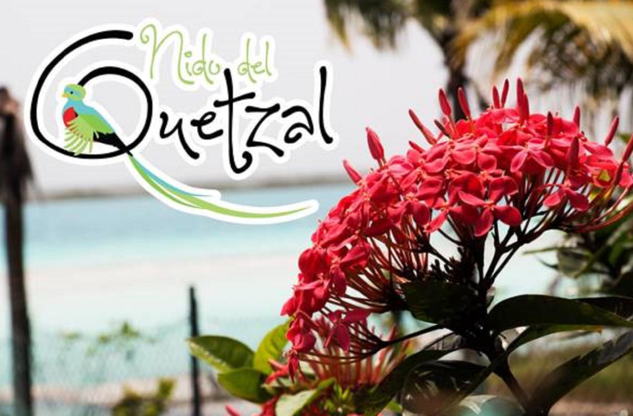 Nido Del Quetzal Hotel Bacalar Exterior photo